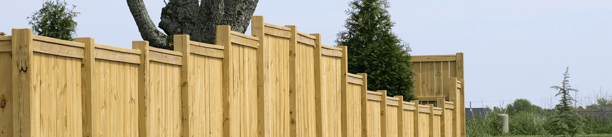 Wood fence Wood fence